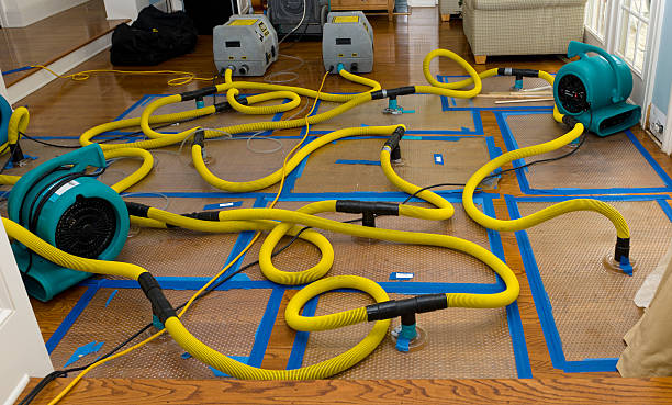 Professional Burst Pipe Water Damage technician working in Glencoe, MN